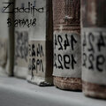 Zaadira、Xam - Слова о дружбе