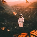 Skinny Atlas、Lofi Fruits Music、Ebmusic、Monty Datta - somewhere no one knows about (feat. Lofi Fruits Music Monty Datta & Skinny Atlas)