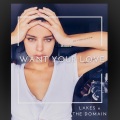 The Domain、Lakes - Want Your Love