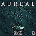 cat soup - aur