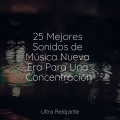 Naturaleza Relajacion、Escola de Meditação、Meditación Maestro - Flores Floreciendo