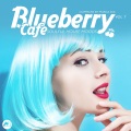 Blueberry Cafe, Vol. 7: Soulful House Moods