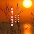 踏雪飞鹰、黑马 - 何时了却这牵挂