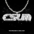 YBA Braham、瘦恒SOULHAN - C SUM (feat.瘦恒SoulHan)