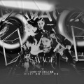 Balmy火坑 - Savage