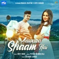 Piyush Mehroliyaa、Rits Badiani、Manjul Khattar、Meet Bros - Aawara Shaam Hai (feat. Manjul Khattar & Rits Badiani)