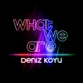 Deniz Koyu - What We Are