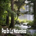 Musica Relajante、Sounds of Nature Noise、La Naturaleza Del Sueño - Algo De Arte
