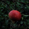 Lunarray、M2 - Rain (feat. M2)