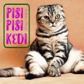 Atakan、Murat - Pisi Pisi Kedi (Single)