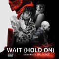 Wait (Hold On)(feat. SouthSide)(Explicit)