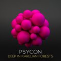 Deep in Karelian Forests