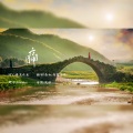荷露为珠 - 痛