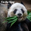 King Panda - I'm the King (Explicit)