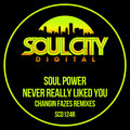 Never Really Liked You (Changin Fazes Remixes)