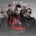 Yo sabía (feat. Alexis & Fido, De La Ghetto y Carlitos Rossy)(Official Remix)