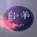 K.D - 白羊