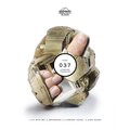 Ganz - Brainwash