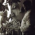 EXPLORER SERIES: CARIBBEAN - Island Songs and Dances