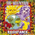 big mountain - Soul Teacher