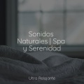 Música Instrumental Maestro、Meditacion Budista Maestros、Musica para Meditar Especialistas - Viaje a la Iluminación