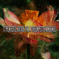 Music for Reading - Foundations for Faith