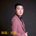 凯歌 - 我没有骗你