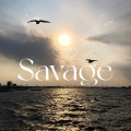 Sevage