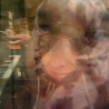 Car - Dead Dog Blues