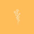 Kolin - The Plan (Explicit)