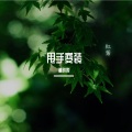 洪荒之力 (越南鼓Remix)