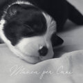 Rilassante musica profonda、Relax musica zen club - Medita e rilassati