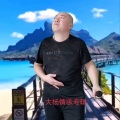 大杨 - 为你所困