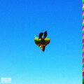Oddity - Pigs