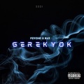 P$YCHO、Ruž - Gerek yok (feat. RUZ)(Explicit)