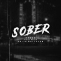 Draze、Freiman、Julia Hallåsen - Sober