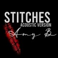 Amy B - Stitches Acoustic