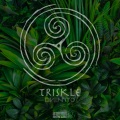 Divenitto - TRISKLE (Radio Edit)