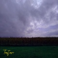 Tontine - Time and Place (Goodbye)
