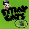 Stray Cats - Sleepwalk (Live Version-Barcelona)