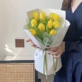 苗梦娟 - 醉飞霜