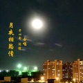 闲情 - 月夜相思情