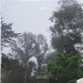 Andre Esparza、baby.com、Suicideyear、SinceWhen、Nedarb - No Nines