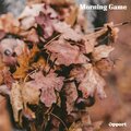Opport - Differences Of Her Heartbeat