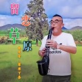 留恋草原 (电吹管版)