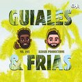 Mr. Fox、Aldair Productions、DJ Flavor - Guiales y Frias (Explicit)(feat. Aldair Productions & Dj Flavor版)