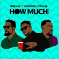 How Much (feat. Sarkodie & Paedae)(Remix)