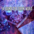 寧靜世界的54種聲音