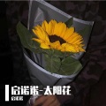 启诺诺 - 永夜