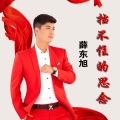 薛东旭 - 挡不住的思念